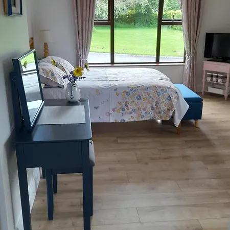 Maireads Bb Guest house Borris